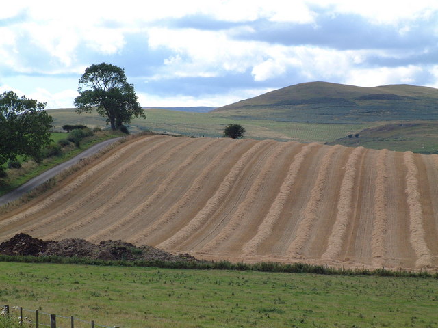 File:Field near Mile Moor - geograph.org.uk - 556925.jpg