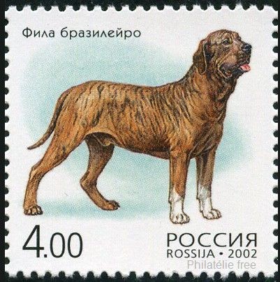 File:Fila-Brasileiro-Canis-lupus-familiaris Russia 2002.jpg Wikimedia