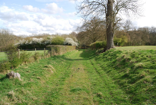 File:Green lane north of Yewtree Wood - geograph.org.uk - 1261785.jpg