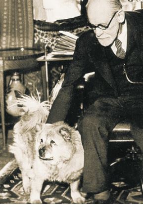 <span class="mw-page-title-main">Jofi</span> Chow Chow dog owned by Sigmund Freud