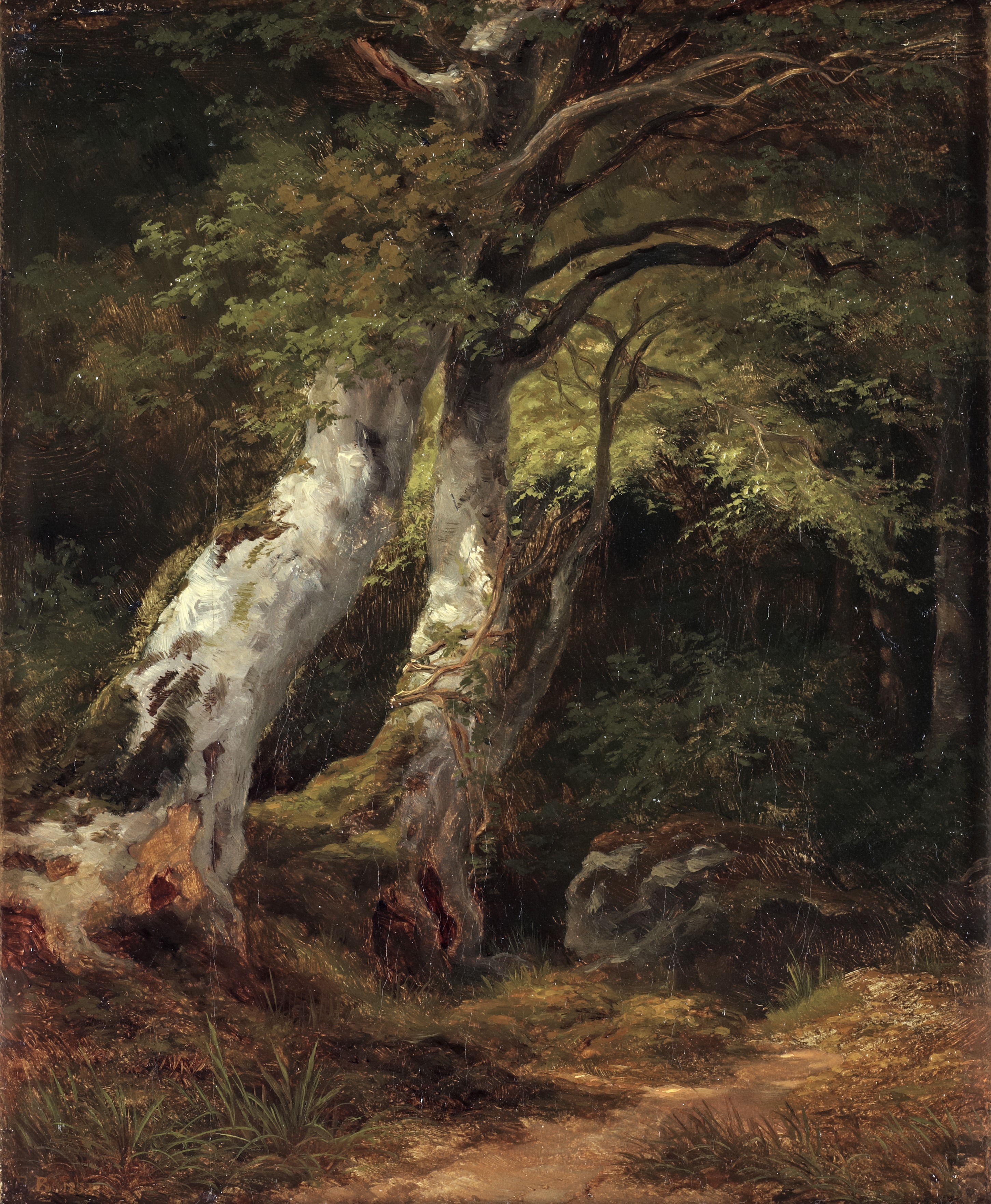 Берг художник. Johan Edvard Bergh (1828–1880) — шведский художник.