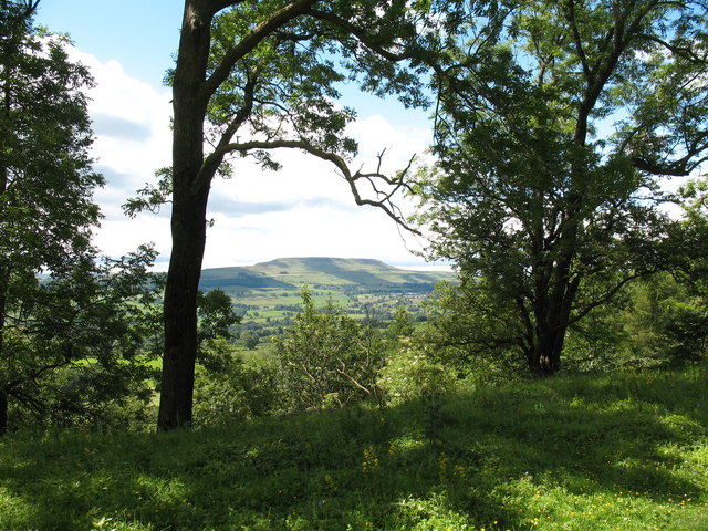 Leyburn Shawl - geograph.org.uk - 890789