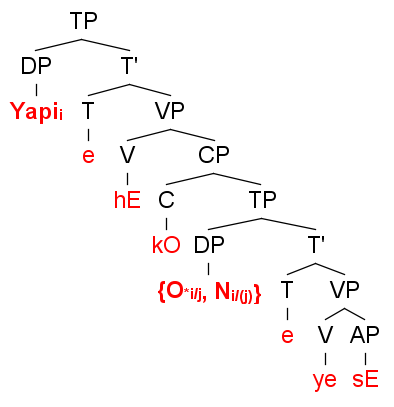 Adapted from Koopman and Sportiche (1989), illustrating the possible referential patterns of o-pronouns and n-pronouns in logophoric contexts.