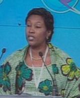 <span class="mw-page-title-main">Neneh MacDouall-Gaye</span> Gambian politician and diplomat