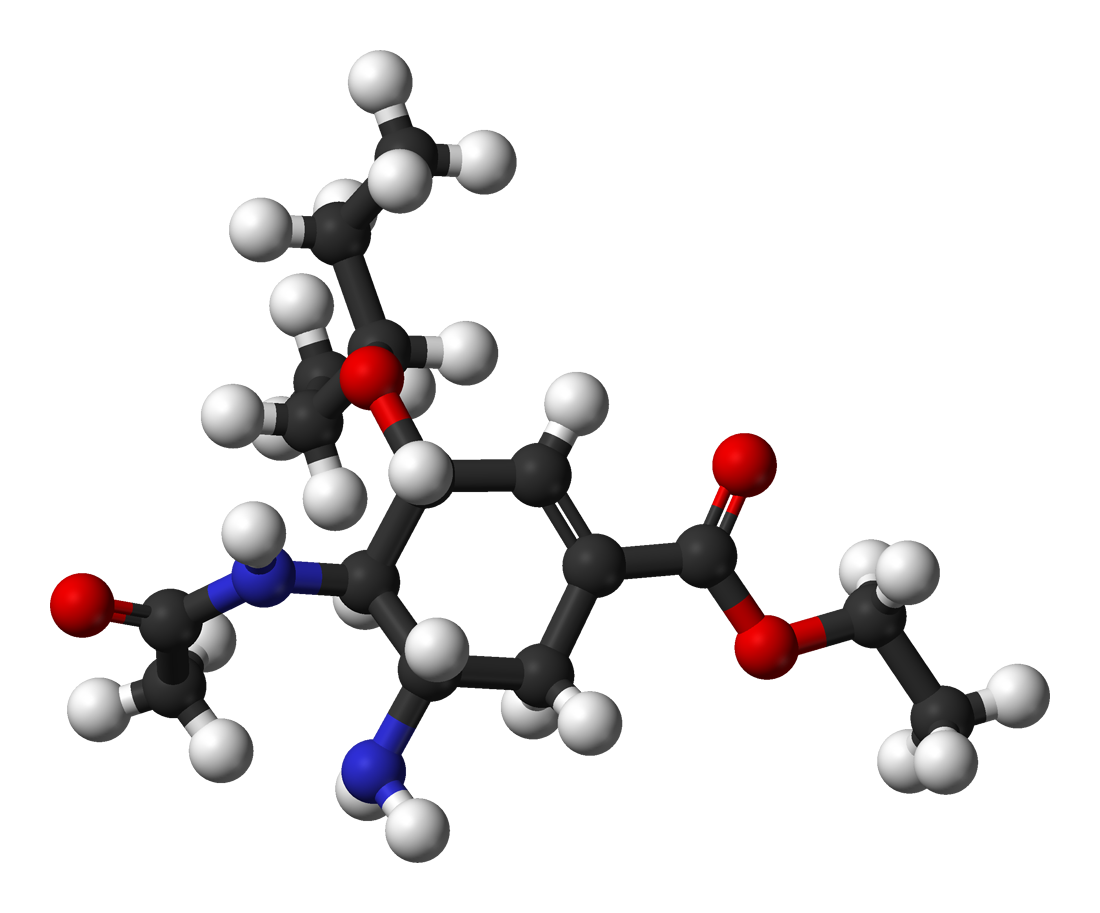 structure glucose a level Wikipedia  total  synthesis Oseltamivir