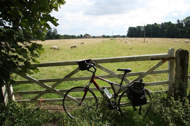 File:Permissive bridleway - geograph.org.uk - 1443869.jpg