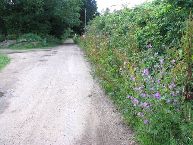 File:Private road to Holverston Hall - geograph.org.uk - 1397305.jpg