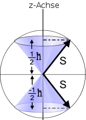 File:Projektion von S auf die z-Achse fuer spin einhalbe Teilchen.PNG