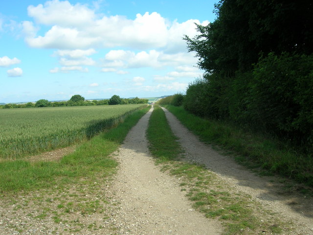 File:Track to Tibthorpe Wold - geograph.org.uk - 1395613.jpg