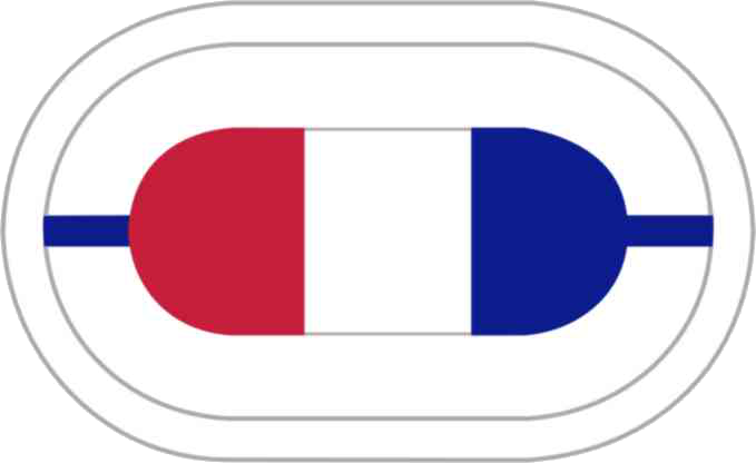 File:US Army 1st BN-506th INF Reg Oval.png