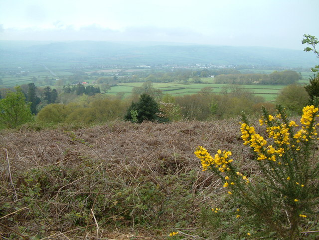 File:View towards the Axe valley - geograph.org.uk - 171624.jpg