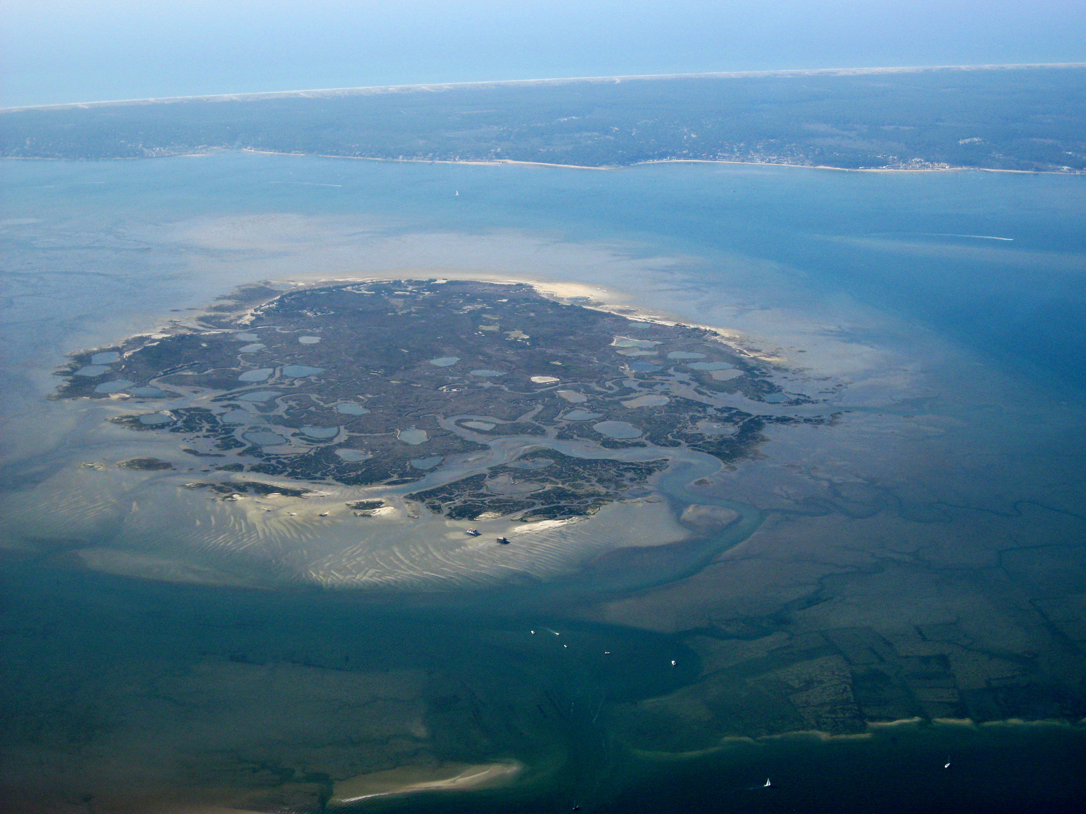 Île aux Oiseaux (Gironde) — Wikipédia