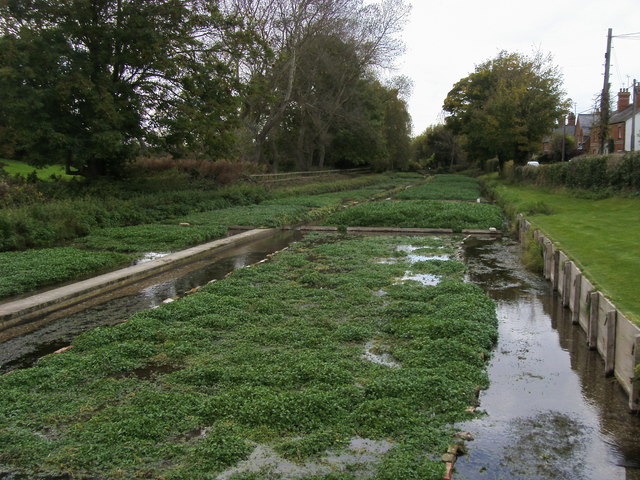 Ewelme Watercress Beds