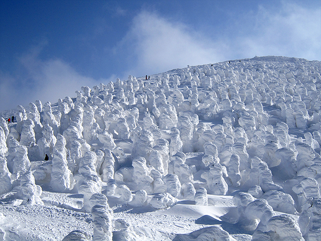 File:蔵王の樹氷 (Snow Monsters (Soft rime) at Zao) 08 Feb, 2011