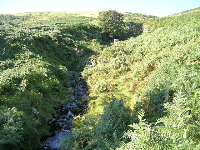 File:Aldessan Burn, Campsie Fells - geograph.org.uk - 240612.jpg