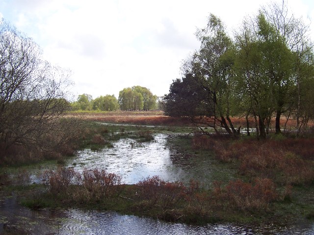 File:Bog and Marsh near Bishops Dyke - geograph.org.uk - 75032.jpg