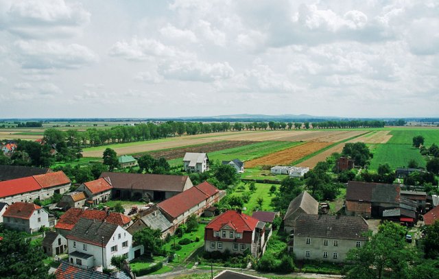 File:Borekstrzelinskipanoramapoludnie.jpg