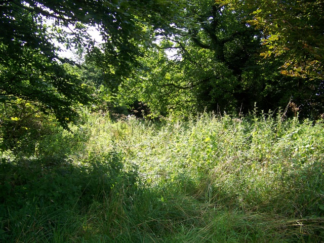 File:Bridleway near Compton Bassett - geograph.org.uk - 1463101.jpg