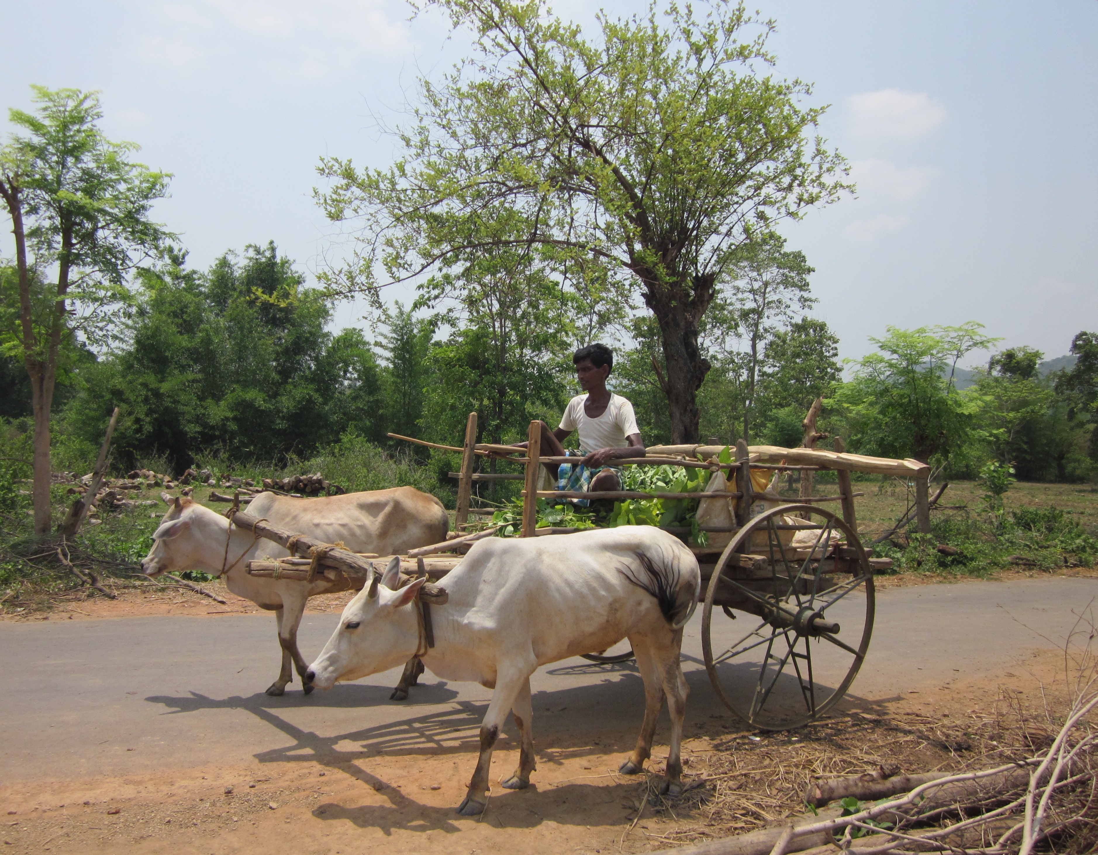 cart - Bengali Meaning - cart Meaning in Bengali at english-bangla