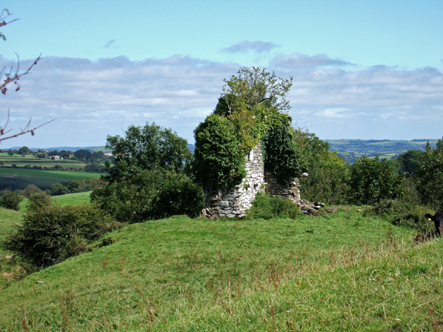 File:Castle ruins near Macroom - geograph.org.uk - 538446.jpg