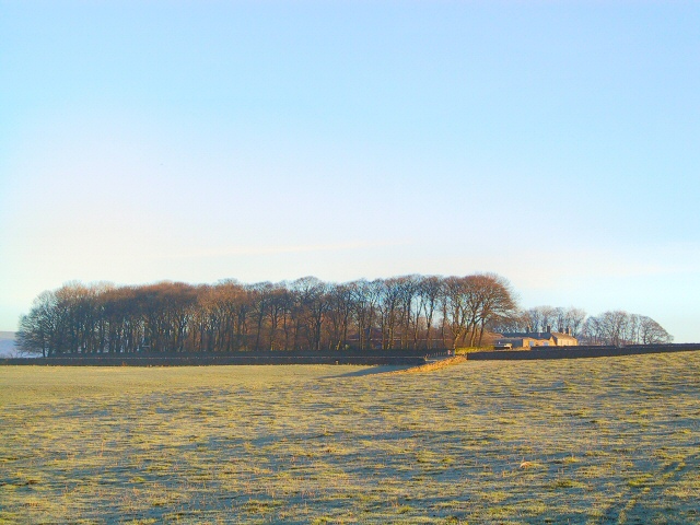 File:Castlegate Stud Farm - geograph.org.uk - 88337.jpg