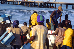 File:Coastal fishing bo.jpg