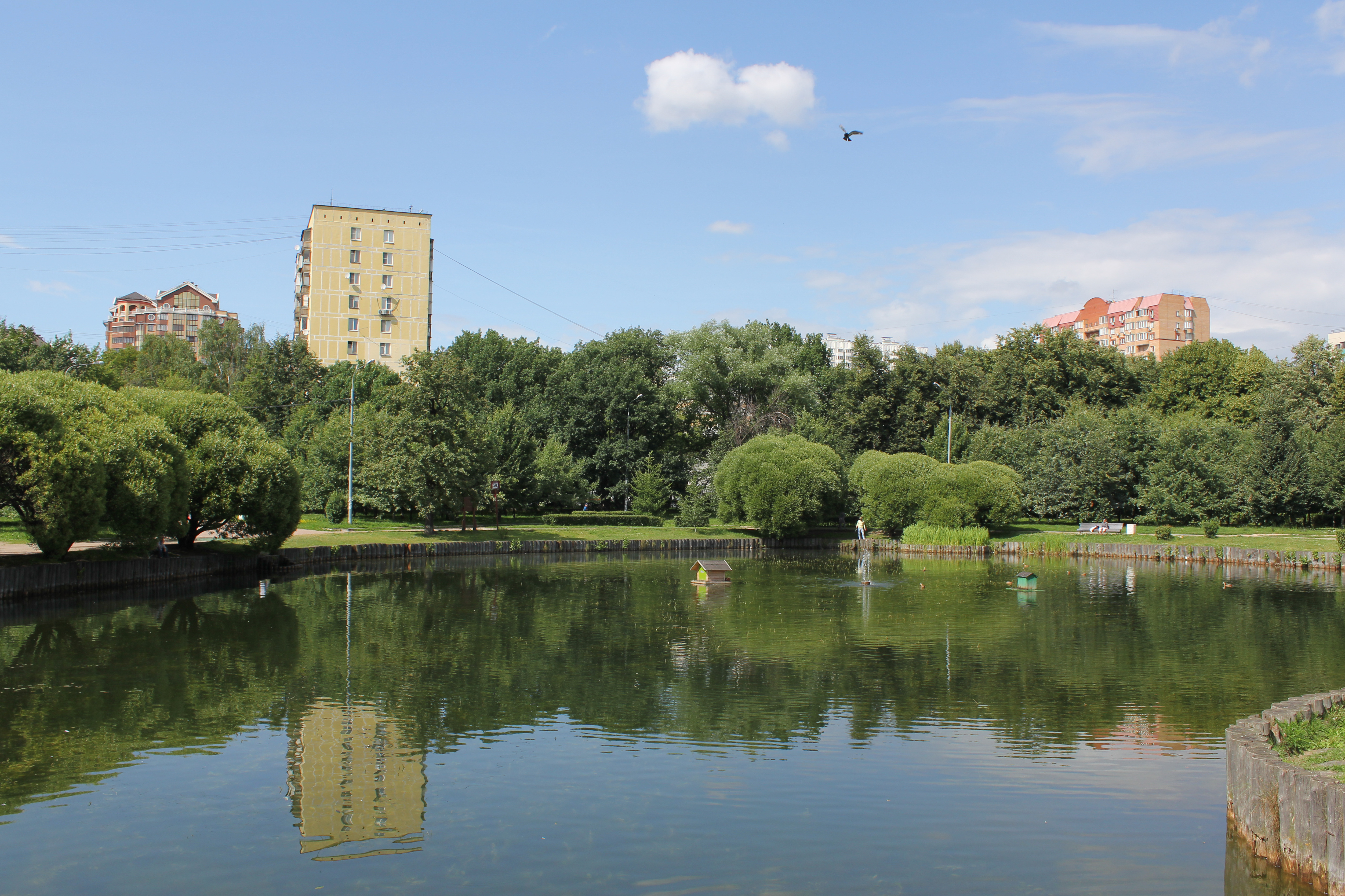 Парк дубки подольск фото