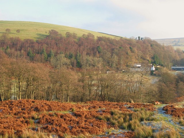 File:East Allen Dale (2) - geograph.org.uk - 682019.jpg