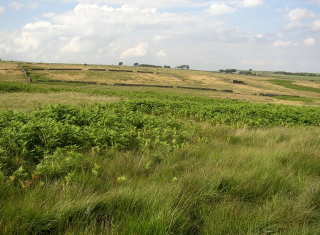 File:Enclosures on marginal land, Deer Hill Bents, Meltham - geograph.org.uk - 499699.jpg