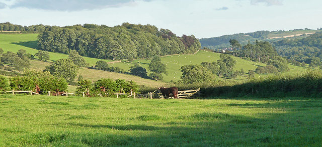 File:Farmland near Fourstones (1) - geograph.org.uk - 2201605.jpg