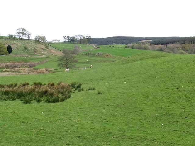 File:Farmland near Overlaggan - geograph.org.uk - 418065.jpg