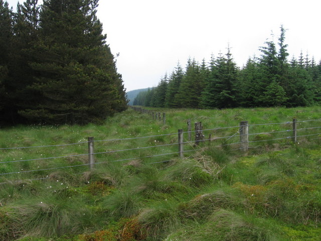 File:Fence junction and firebreak - geograph.org.uk - 195349.jpg