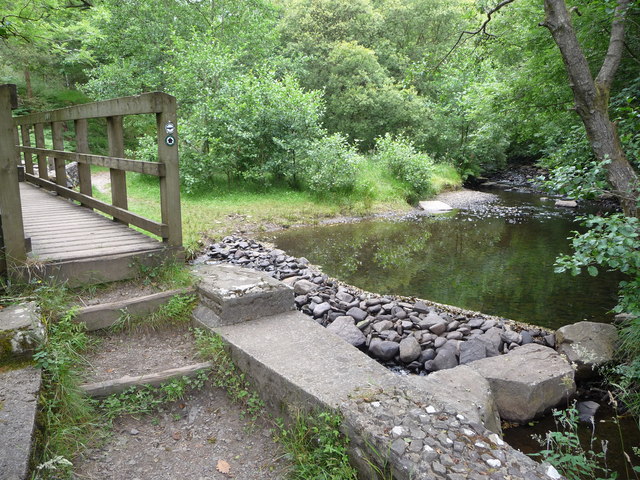 Footbridge, dam and pool on the Nant Clydach - geograph.org.uk - 2531682
