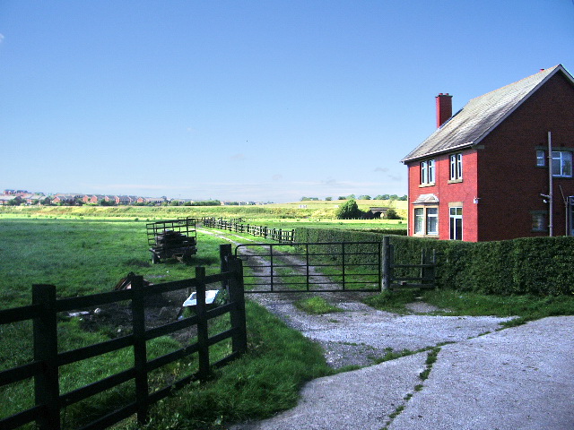 File:Footpath - geograph.org.uk - 496007.jpg