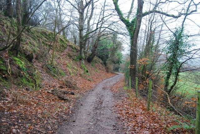 File:Footpath up Bicknoller Hill - geograph.org.uk - 1655731.jpg