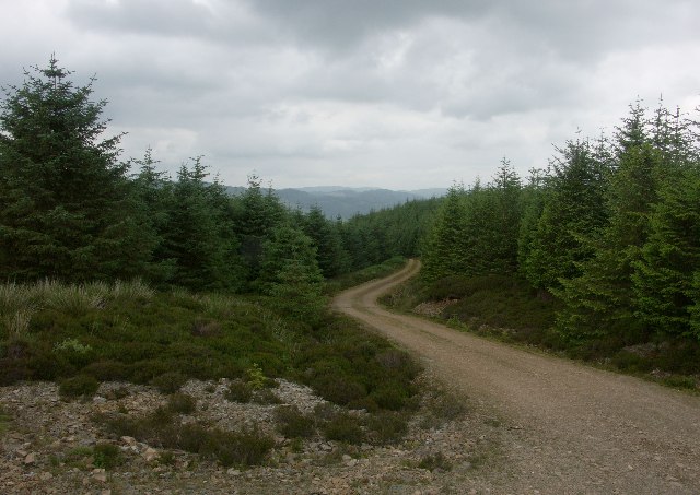 File:Forest near Kilmelford - geograph.org.uk - 23170.jpg