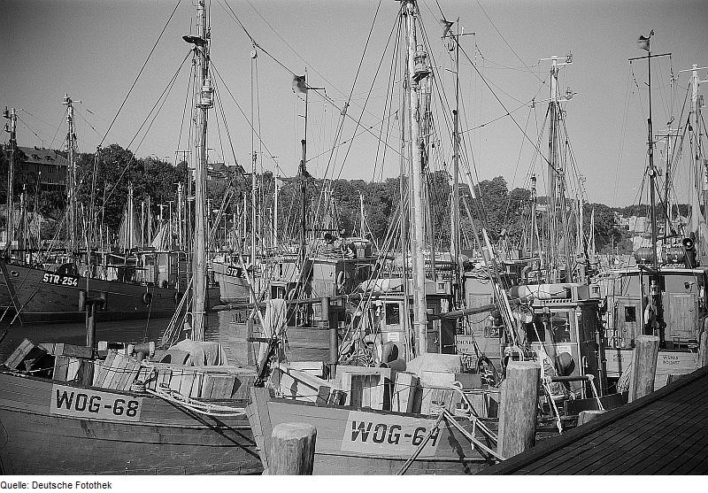 File:Fotothek df ps 0005096 Häfen ^ Fischerei ^ Fischerboote.jpg