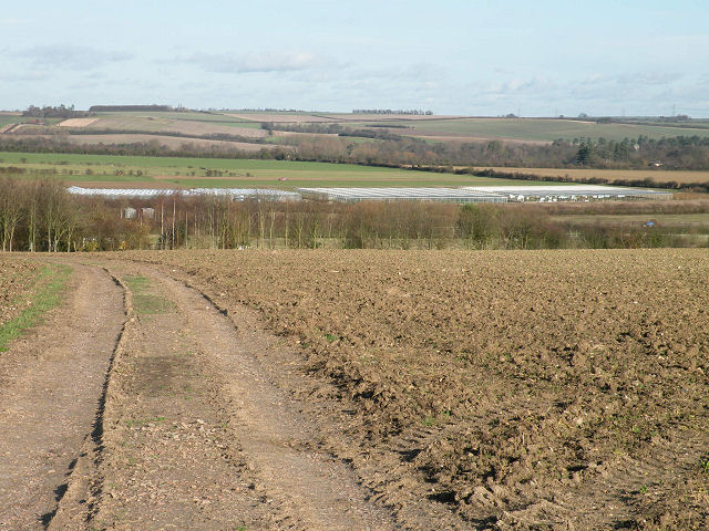 File:Greenhouses south of Abington - geograph.org.uk - 1596743.jpg