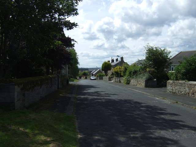 File:Hauxley Lane, High Hauxley - geograph.org.uk - 3049719.jpg