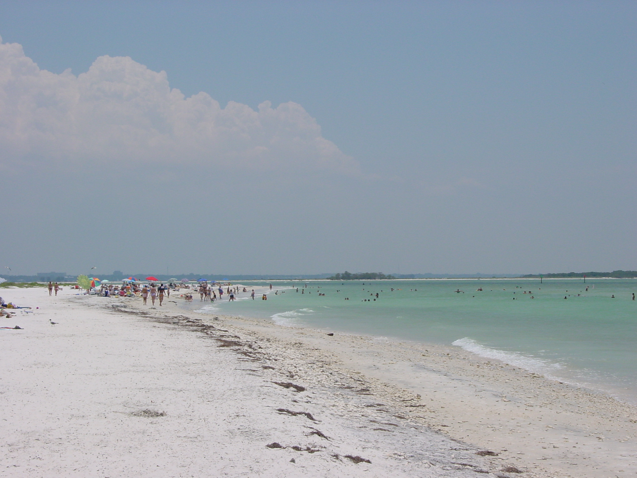 File:Honeymoon Island State Park (Image 6).jpg - Wikipedia, the free ...