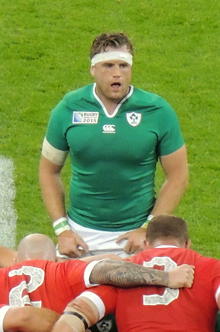 Jamie_Heaslip_2015_RWC.jpg