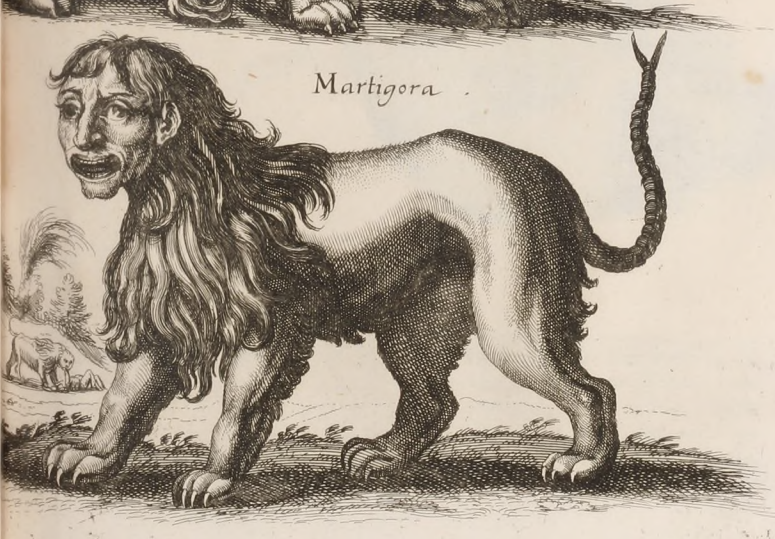 manticore drawing