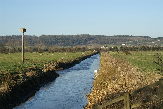 Tickenham, Nailsea and Kenn Moors SSSI