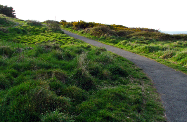 File:North Down Coastal Path at Carnalea (2) - geograph.org.uk - 781750.jpg