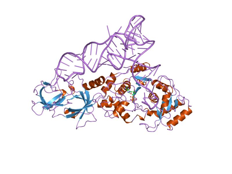 PDB 1gtr EBI