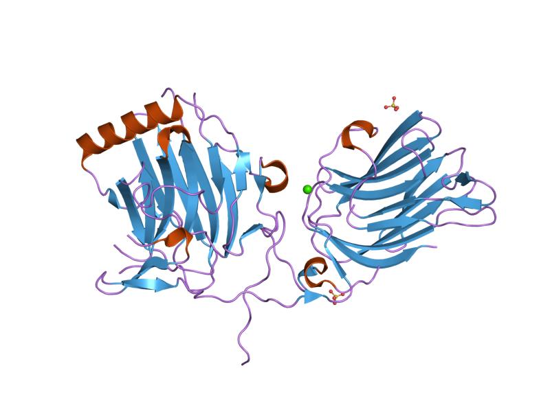 File:PDB 1h30 EBI.jpg