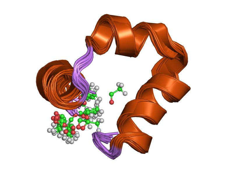 File:PDB 1unc EBI.jpg