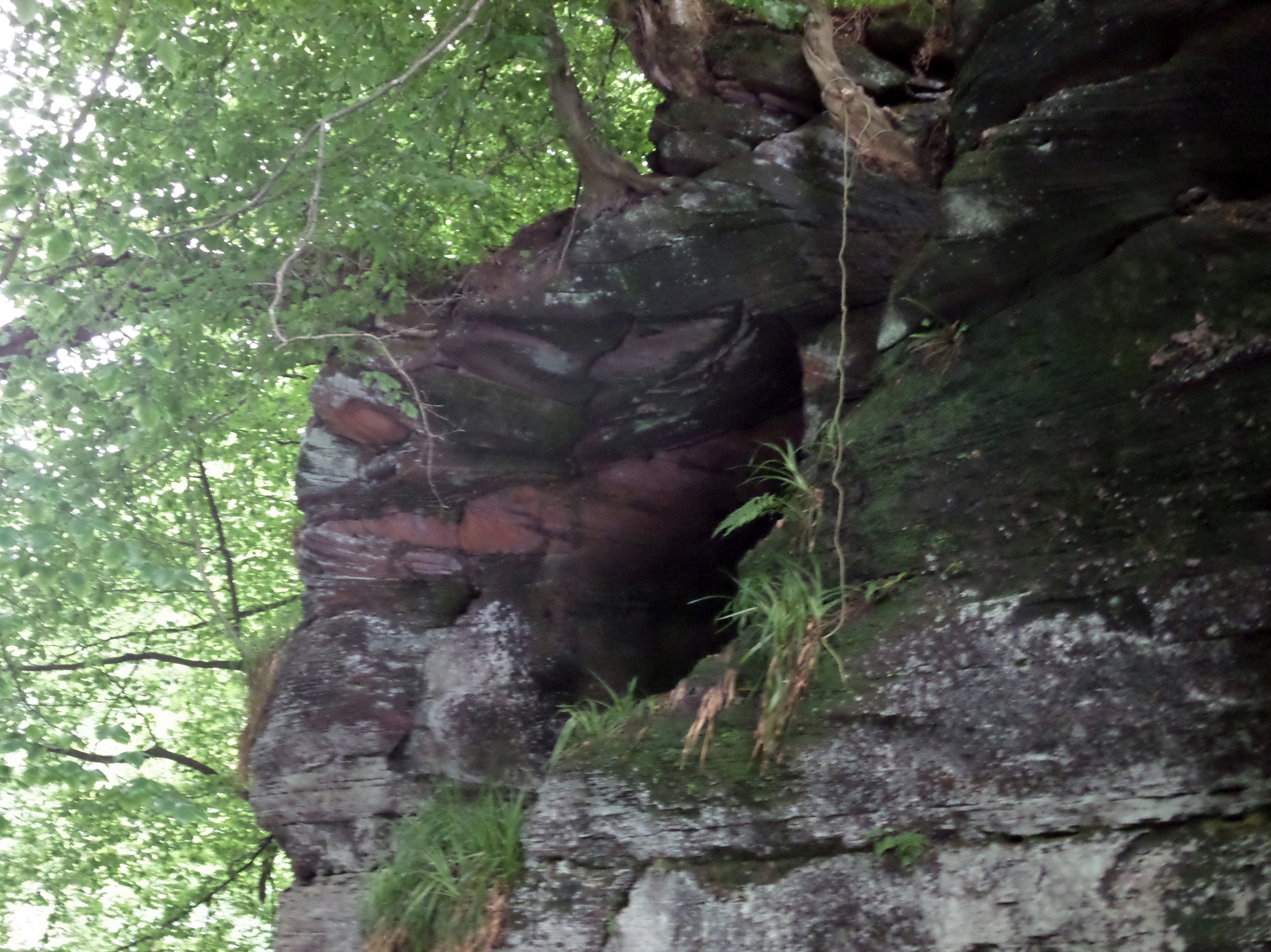 Peden's Cave (Auchinbay)