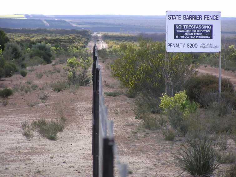 Rabbit Proof Fence Wikipedia