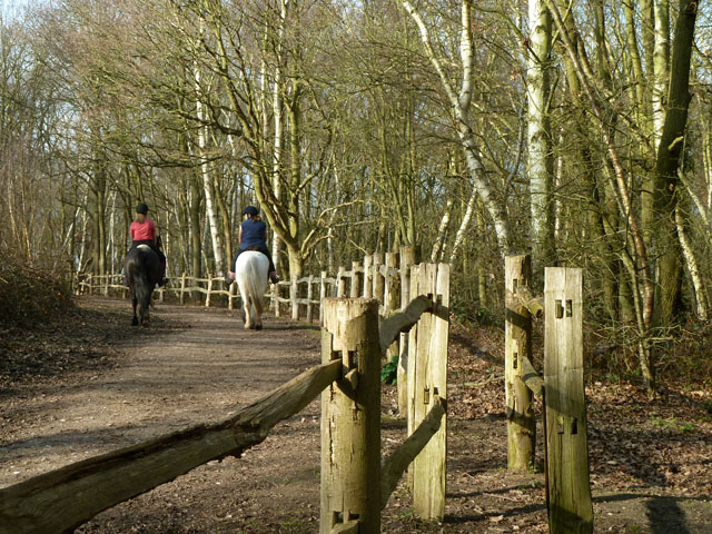 Riding in Chalk Wood - geograph.org.uk - 2841940